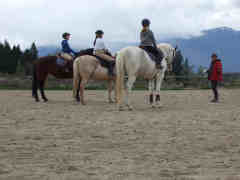Participating in an equine behavior seminar