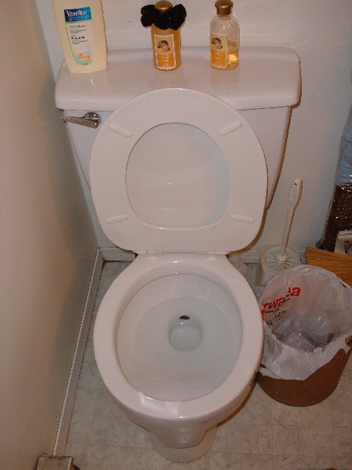 Toilet cleaned.