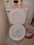 Toilet cleaned