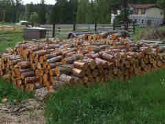 Firewood bucked