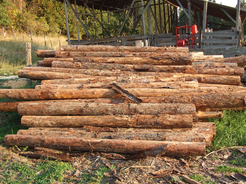 Sawmill Progress First Logs At Home.