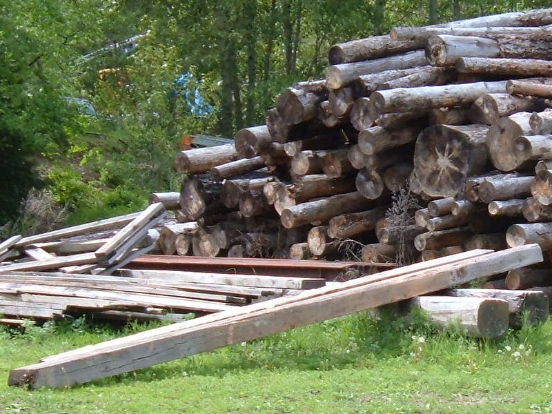 Lots Of Logs Here.