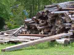 Saw logs rotting away