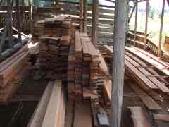 Half the logs sawn