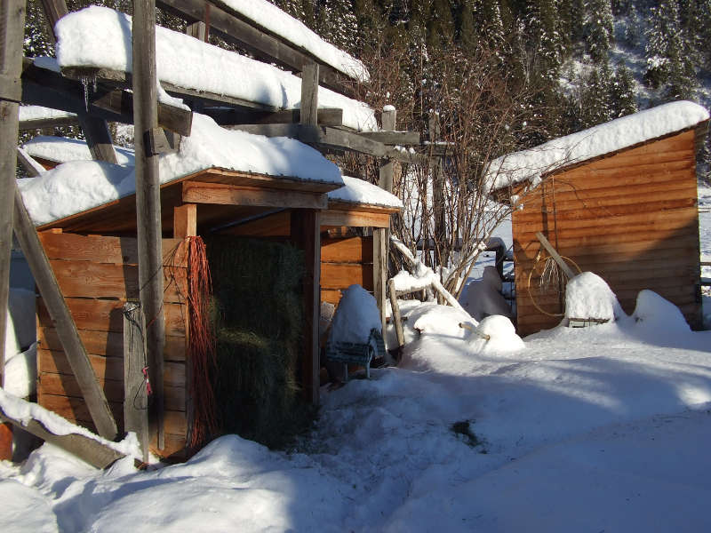Sheds Surviving The Winter.